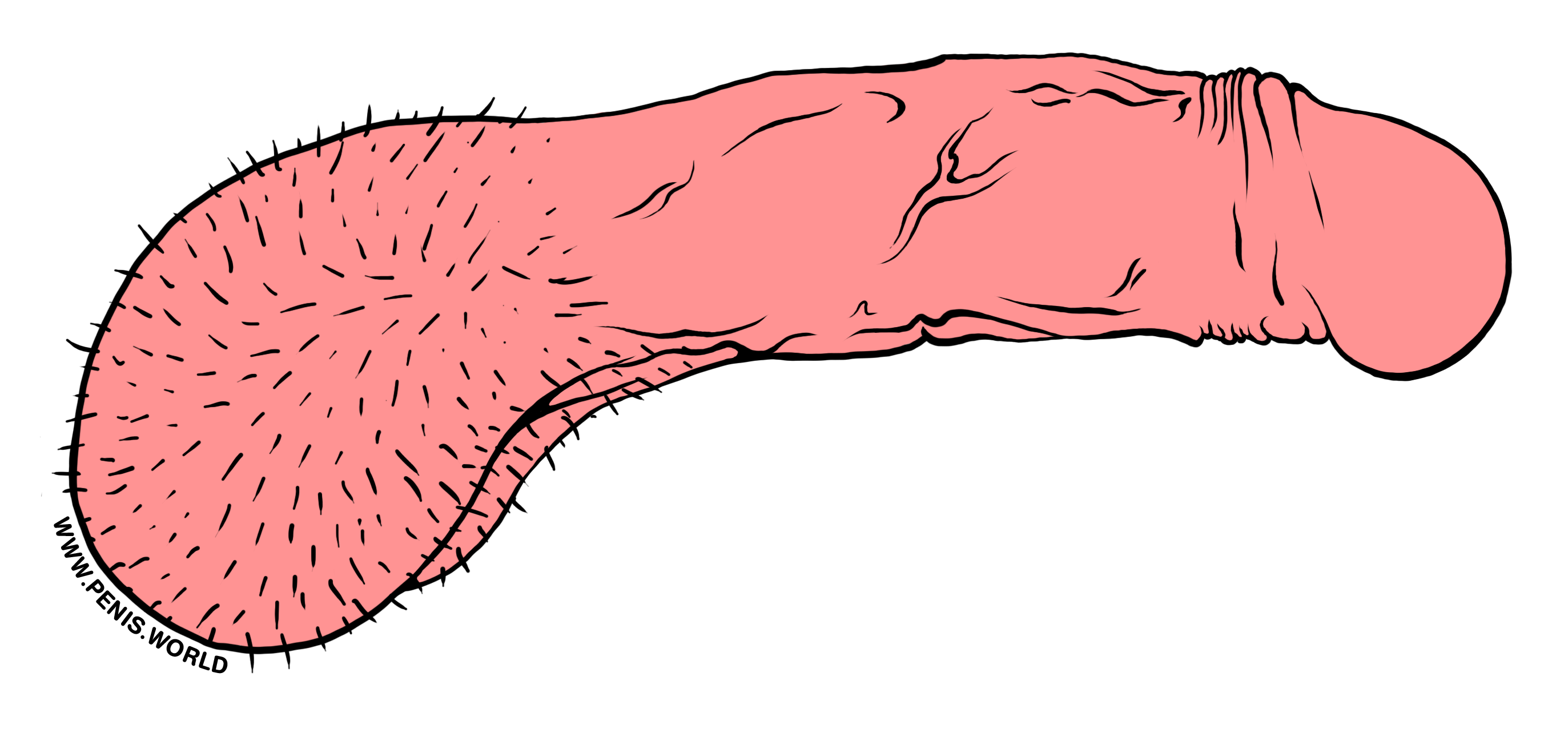 Our adorable pastel sticker